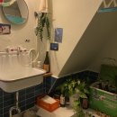 데이스위밍클럽 이미지