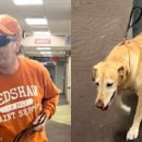 달콤한거짓말 이미지