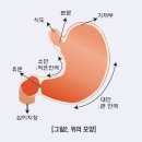 트윗질로 괜히 두고두고 까임. 이미지