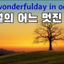 어느 멋진날 Daum카페
