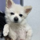 지리골길 이미지