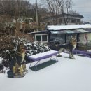 정원장식당 이미지