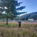 도시의날 이미지