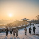 수원-0201 이미지