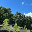 양산심천로 이미지