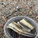 창원 휴양림 오토 캠핑장 이미지