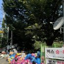 능강stay 네이버블로그