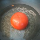 토마토 소스 만드는 과정. 이미지