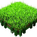 (주)그린어스 이미지