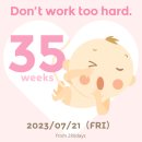 세진컴퓨터세탁 | [임신기록 #35~39주]