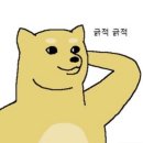 웰웰 | 에스쁘아 블러쉬 쉬폰 웰웰 블러셔 후기 완전 웜톤 블러셔네요