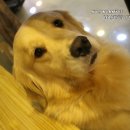 포포앤미루 강동점 이미지