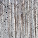 숲속바다펜션민박 이미지