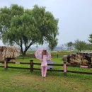 고인돌목장 이미지