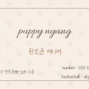 퍼피냥 이미지