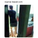 전설이 된 여동생의 유작.jpg 이미지