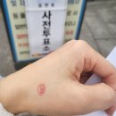 녹번동 자치회관 3층 다목적실 | 가까운 투표소 방문하셔서 사전투표하세요