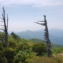 세종행정사 이미지