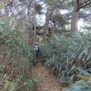 연정상사