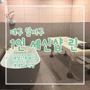린세신샵 | 대구 임산부 1인 세신샵 린 죽전점 내돈내산 후기