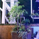 해피트리 이미지