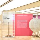 책과 북아트 이미지