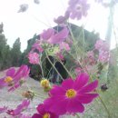 소사농원 이미지