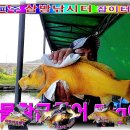 황금향어 이미지