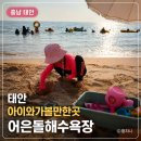 노을 | 태안 아이와 가볼만한곳｜어은돌해수욕장 물때·송림캠핑장·노을 후기