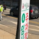 차합시다 | 2026년 양평 용문산 산나물축제 후기