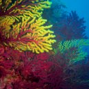 산호수산 이미지