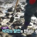 난지도소나무펜션 이미지