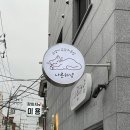 서울 금천 | 1인 고양이 무마취 교감미용실 “나른하냥” 코숏치즈 미용 후기