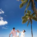 와이키키 이미지