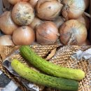 친환경팜 | 팜n팜 친환경야채 농산물 햇양파 국내산 백오이 택배 후기