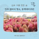 송백시장 | 진주 댑싸리공원! 금산송백테마공원