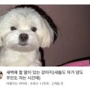 가야지