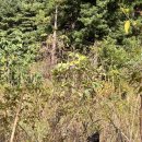 팔미농장 이미지