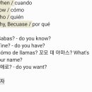 [스페인어 독학]_스페인어와 친해지기/듀오링고(Duolingo) 스페인어 후기_무료버전