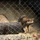 양산동굴공룡박물관 이미지