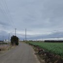 제주도예촌 이미지