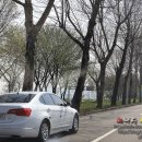 양수리 두물머리길 이미지