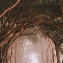 K기프트 이미지