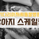 키다리아저씨 동물병원 이미지