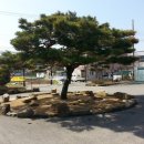 황간면사무소 이미지