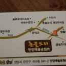 촌골오리 이미지