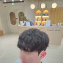 린다로니 이미지