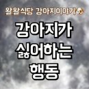 왈왈식당
