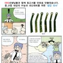 재수전문제일학원 이미지