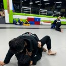 엘원짐 네이버블로그